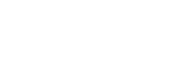 YSI logo